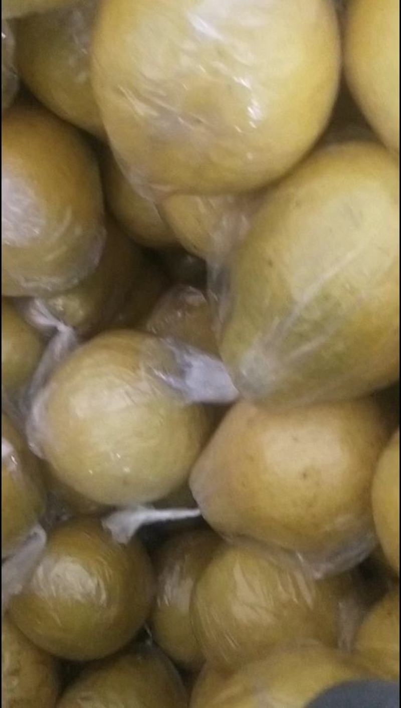江永香柚，高品质，清香味甜，果面金黄，肉质细腻！