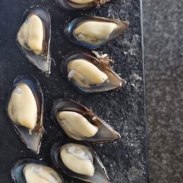 常年供应批发大青口，贻贝大海虹淡菜