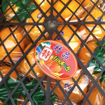 商品橙子大量走货，精品