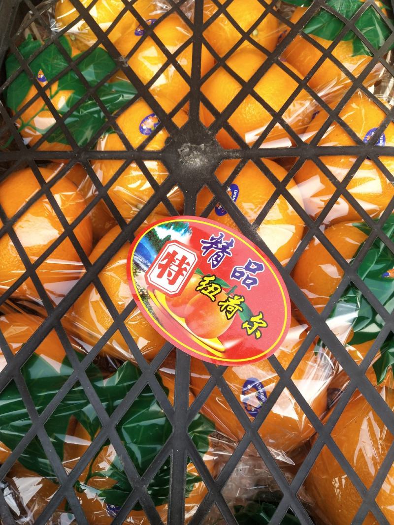 商品橙子大量走货，精品
