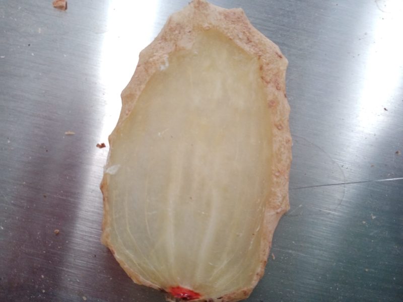 小草坝天麻片全无硫，什么规格都有