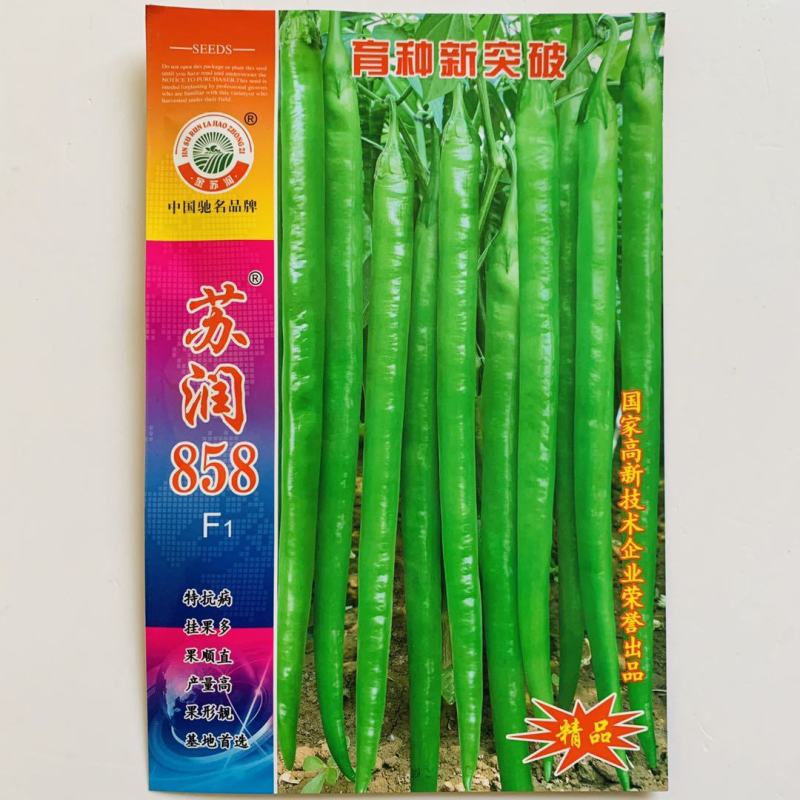 【精品特长线椒种子】苏润一号苏润一椒线椒种子辣椒亩产万斤