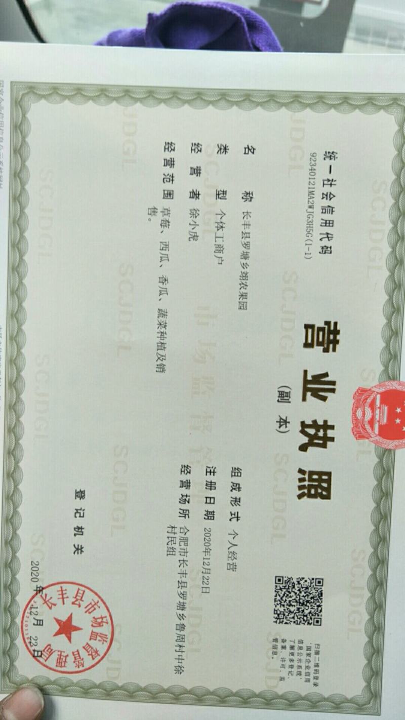 红颜草莓精品包装货源充足口感甜可供蛋糕店电商超市