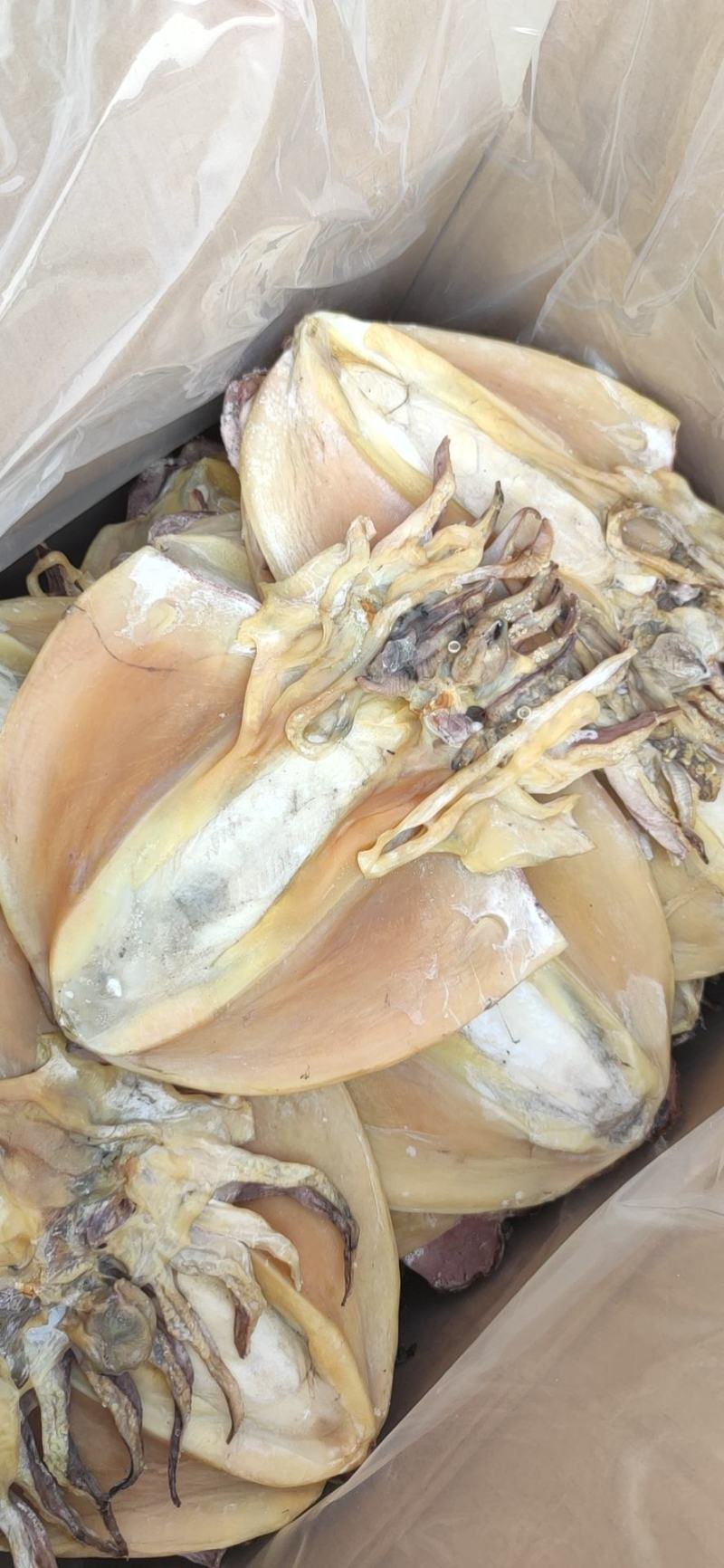 东海墨鱼干一件代发产地直销