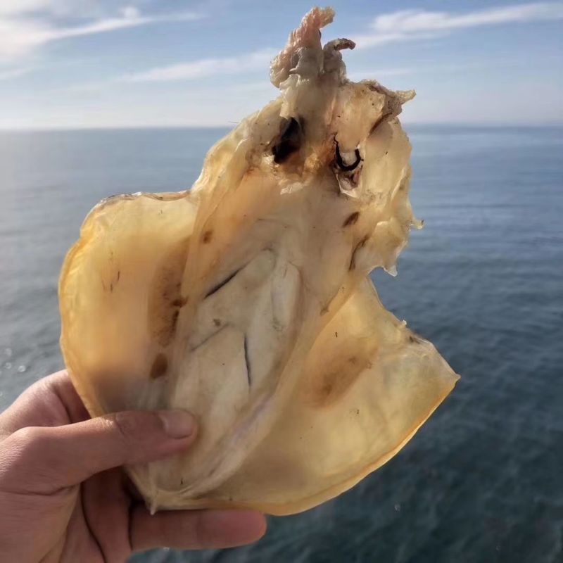 东海墨鱼干一件代发产地直销