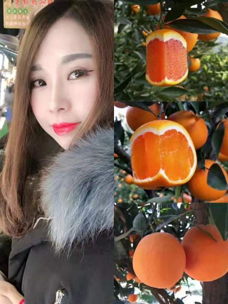 普通脐橙，长虹，园虹，品种多，颜色不错，价钱实惠！