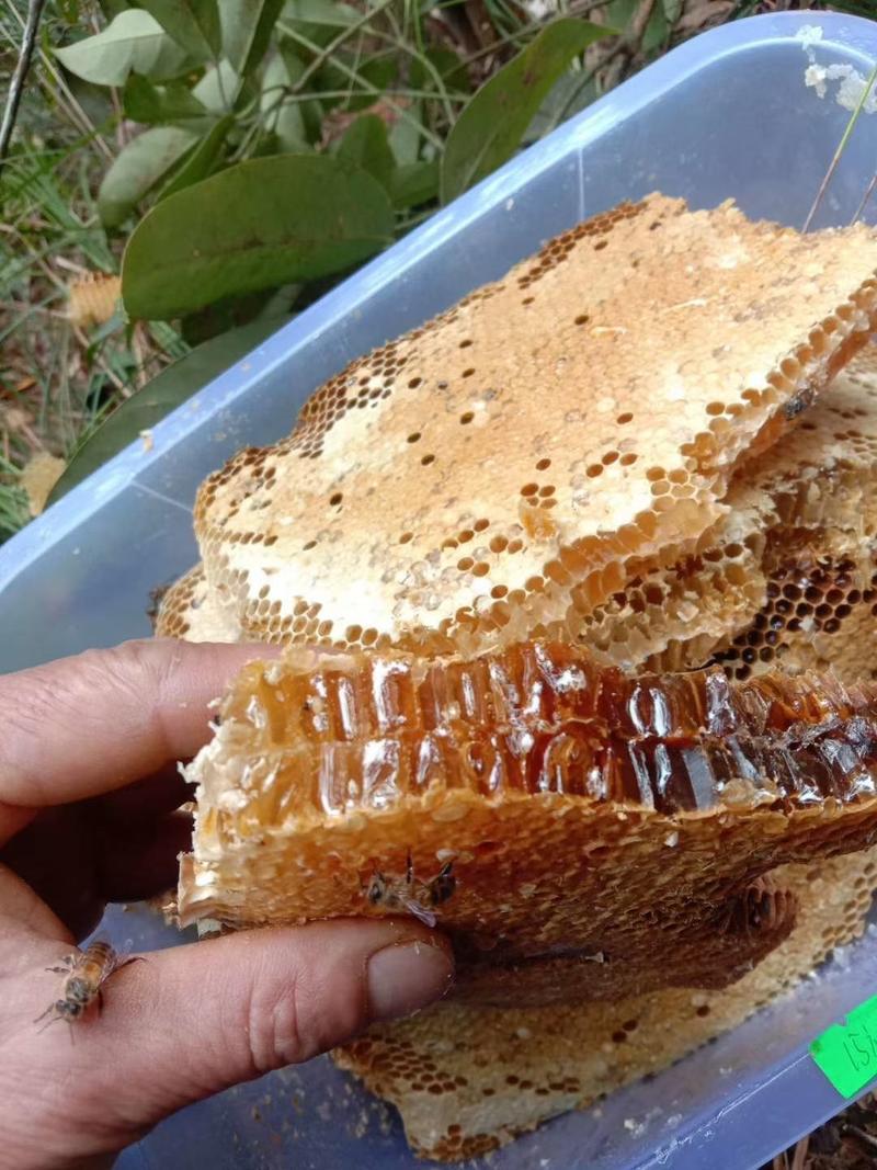大瑶山野生蜂蜜，养颜美容