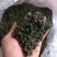 大瑶山野生绞股蓝，甘甜可口！