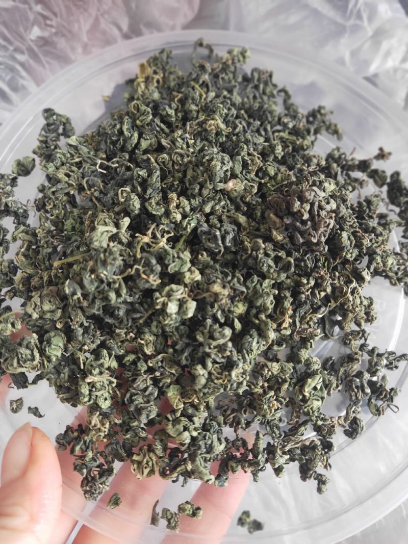 大瑶山野生绞股蓝，甘甜可口！