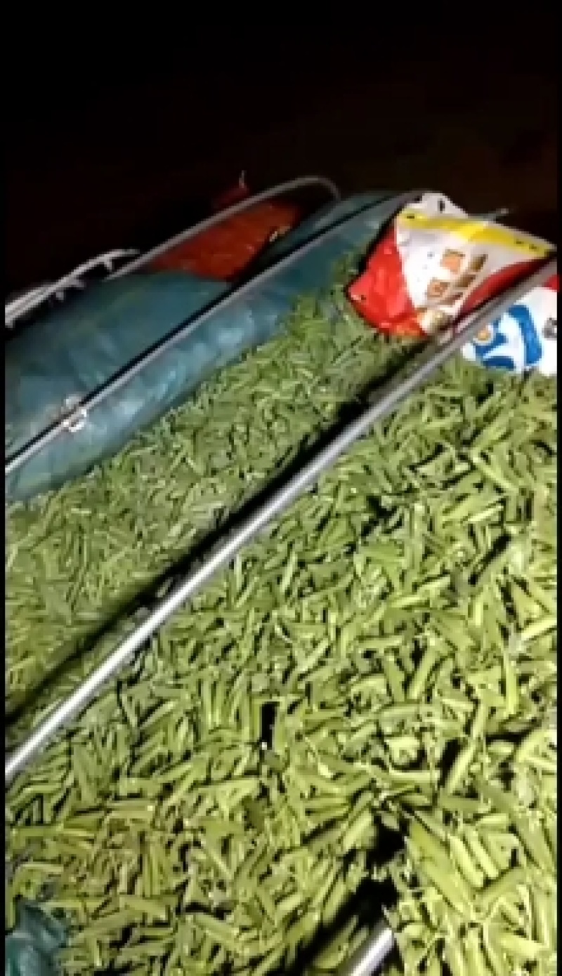 「精」云南青豌豆粒大饱满一手货源诚邀合作欢迎咨询