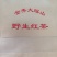 大瑶山古树红茶，清香味！