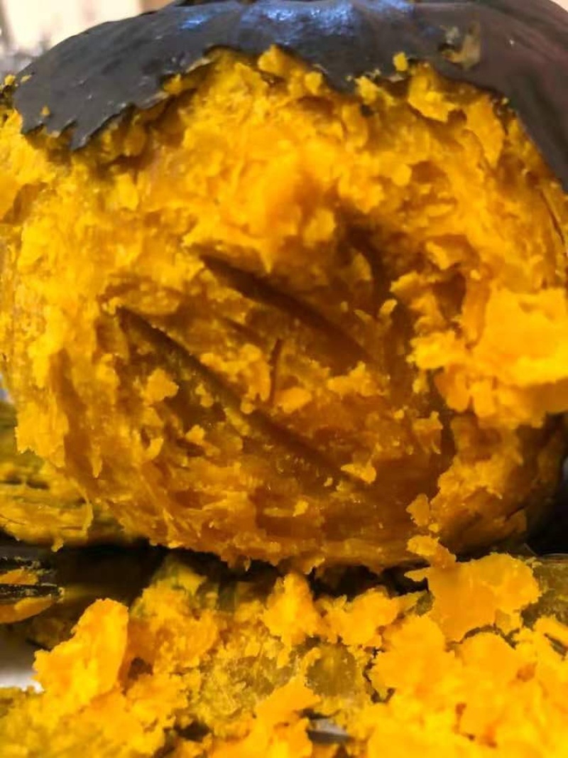 惠和贝贝南瓜日本进口品种惠和一号贝贝南瓜板栗味