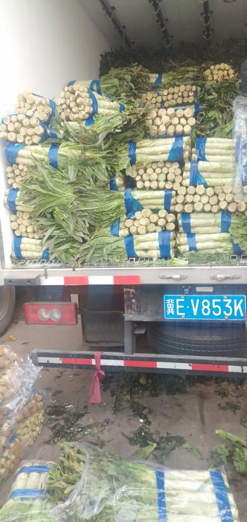 莴笋质量好，欢迎各地老板咨询，，前来视察市场