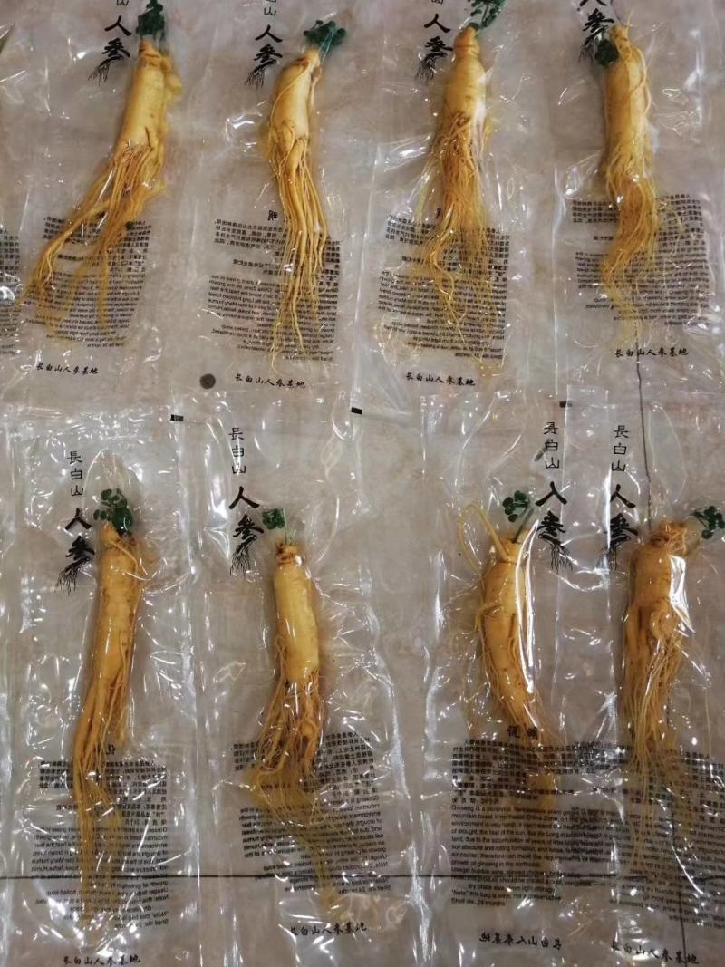 人参长白山保鲜参泡酒煲汤炖鸡专用一手货源参农批发直销