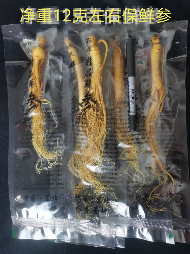 人参长白山保鲜参泡酒煲汤炖鸡专用一手货源参农批发直销