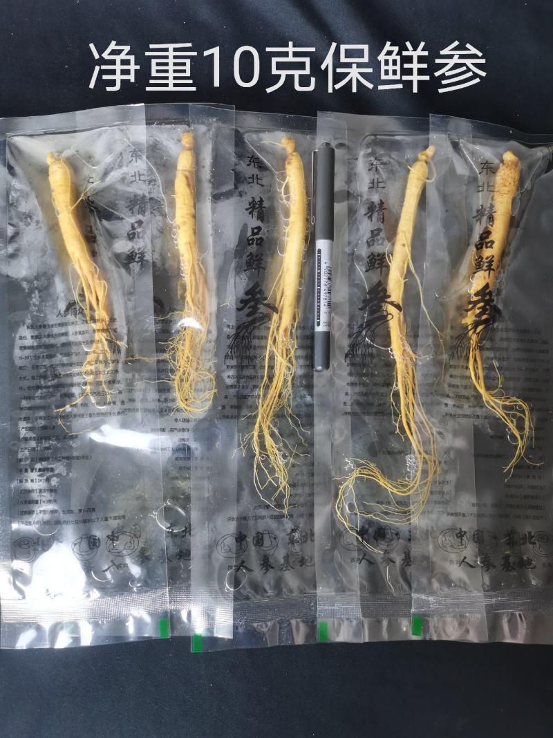 人参长白山保鲜参泡酒煲汤炖鸡专用一手货源参农批发直销