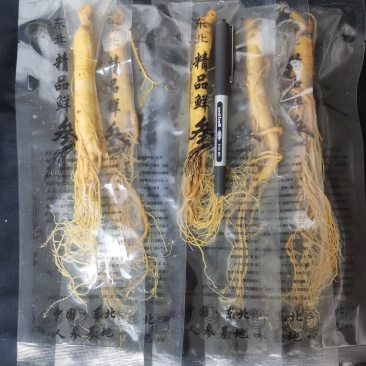 人参长白山保鲜参泡酒煲汤炖鸡专用一手货源参农批发直销