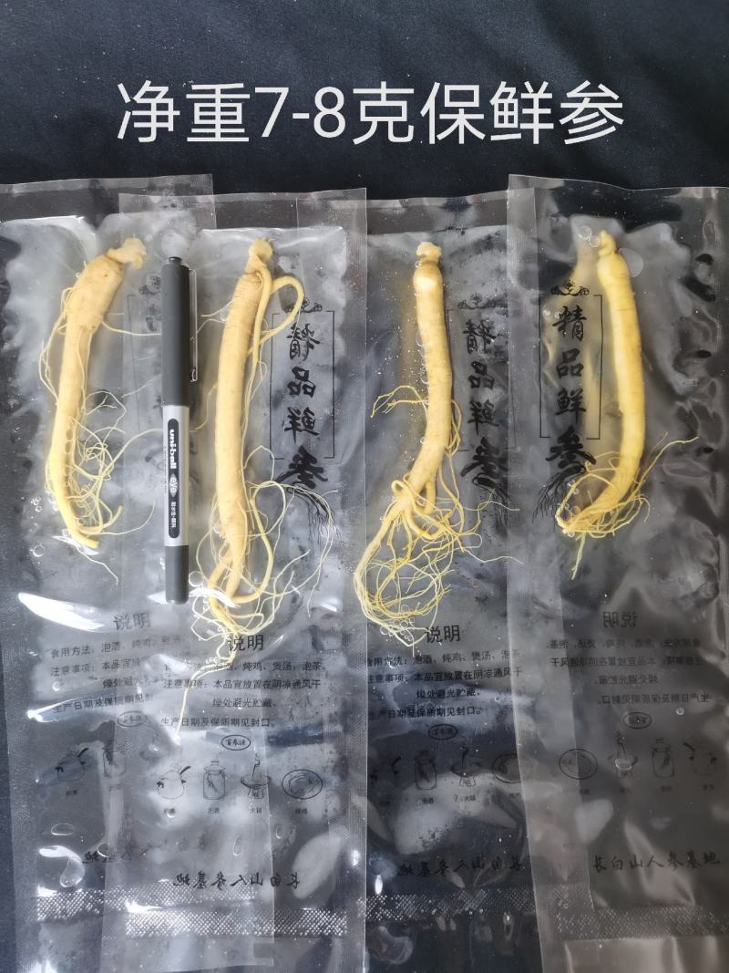 人参长白山保鲜参泡酒煲汤炖鸡专用一手货源参农批发直销