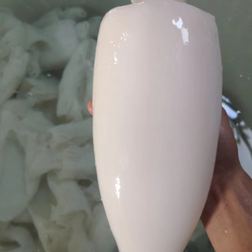 北海工厂一手墨鱼筒，AA+级标准，价格实惠，质量**。