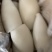 北海工厂一手墨鱼筒，AA+级标准，价格实惠，质量**。
