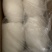 北海工厂一手墨鱼筒，AA+级标准，价格实惠，质量**。