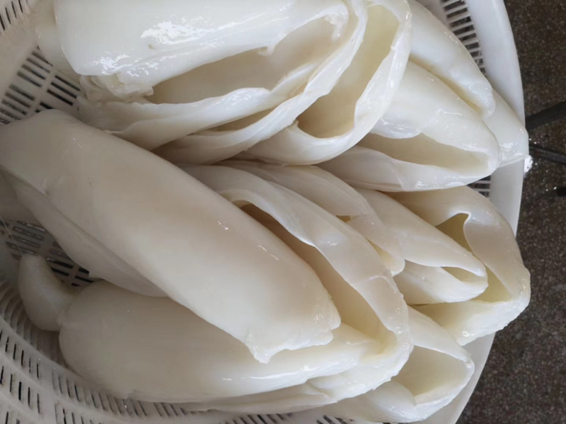 北海工厂一手墨鱼筒，AA+级标准，价格实惠，质量**。