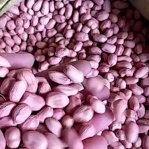 花生(纯手剥花生颗粒大)精选大颗粒