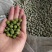 青干豌豆干青豌豆地摊货源摆摊热卖产品