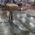 鱼泡鱼鳔白鲢当天现杀带血大鱼泡一手货源工厂直发全国