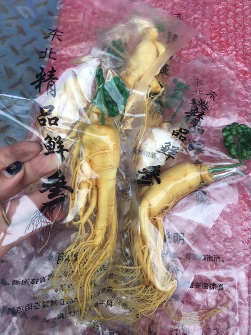 人参长白山保鲜参泡酒煲汤炖鸡专用一手货源涉农直销