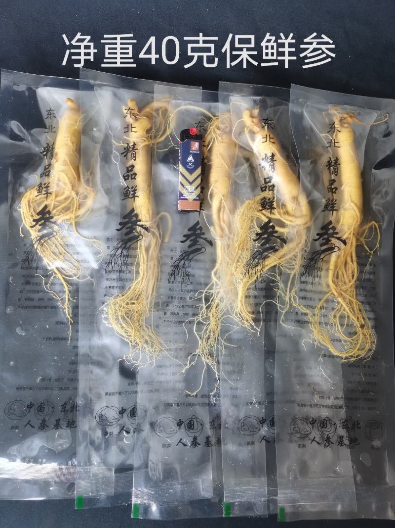 人参长白山保鲜参泡酒煲汤炖鸡专用一手货源涉农直销
