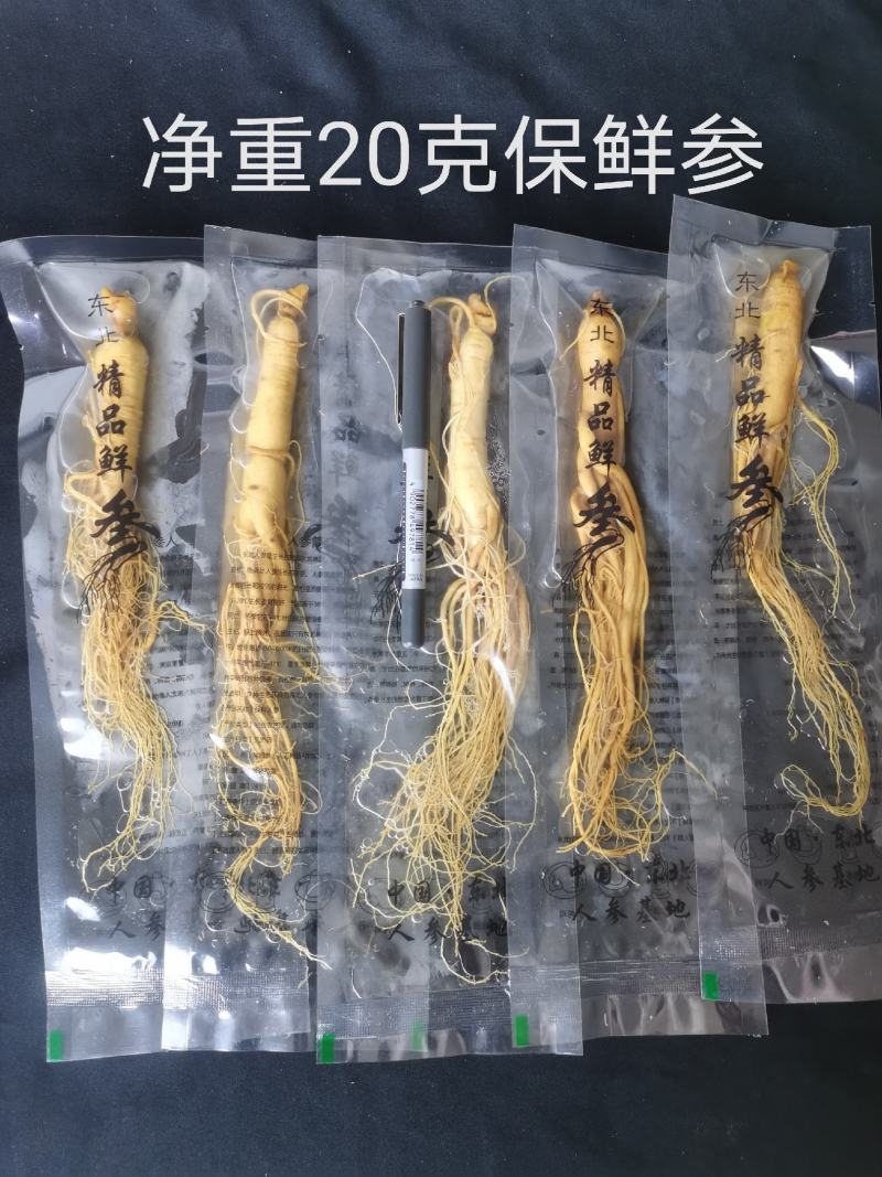人参长白山保鲜参鲜参泡酒煲汤炖鸡专用一手货源参农直销