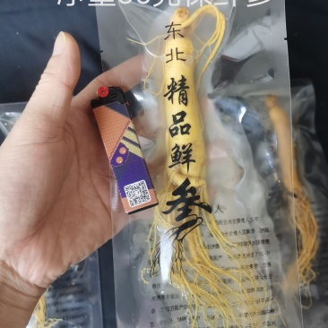 人参长白山保鲜参鲜参泡酒煲汤炖鸡专用一手货源参农直销