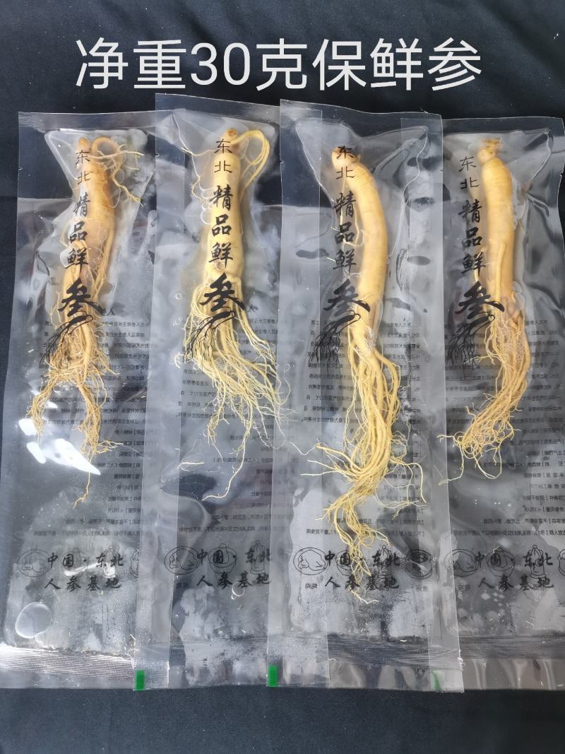 人参长白山保鲜参鲜参泡酒煲汤炖鸡专用一手货源参农直销