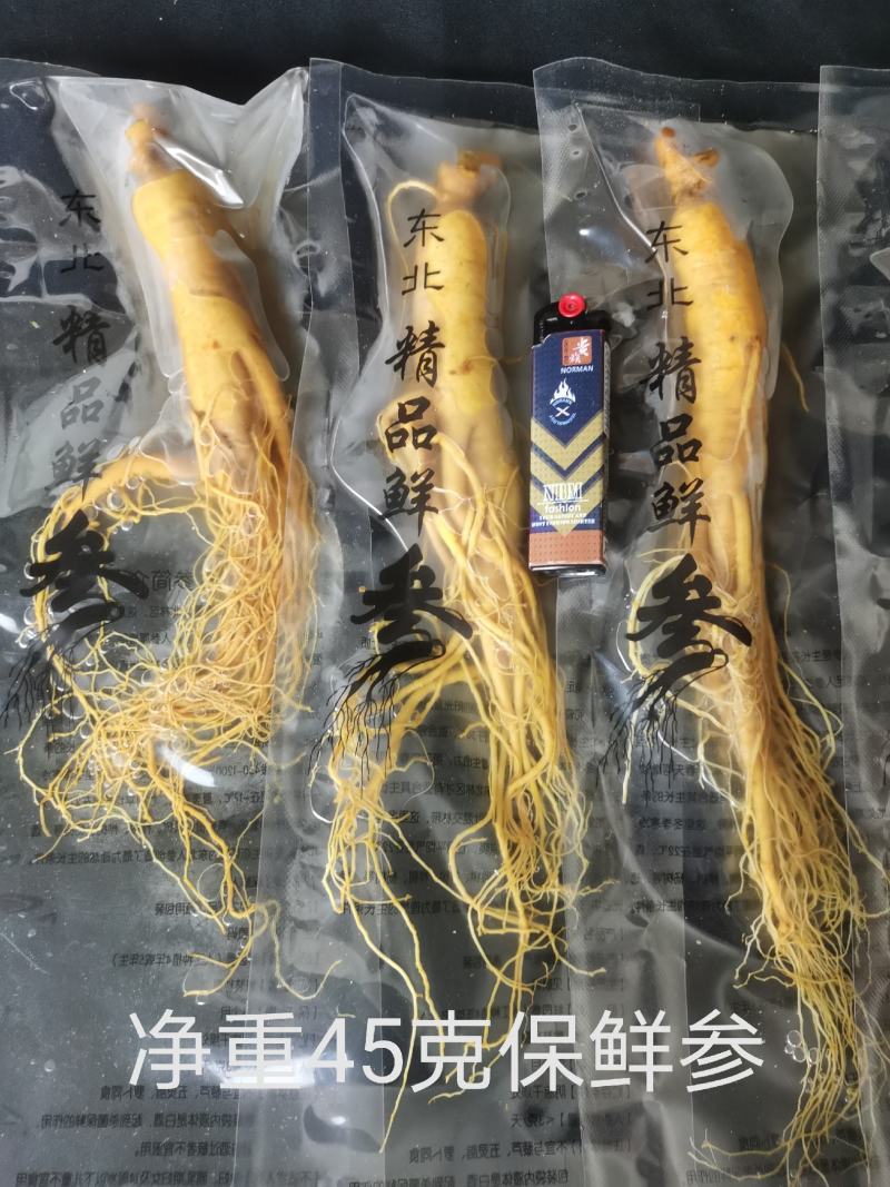 人参长白山保鲜参鲜参泡酒煲汤炖鸡专用一手货源参农直销