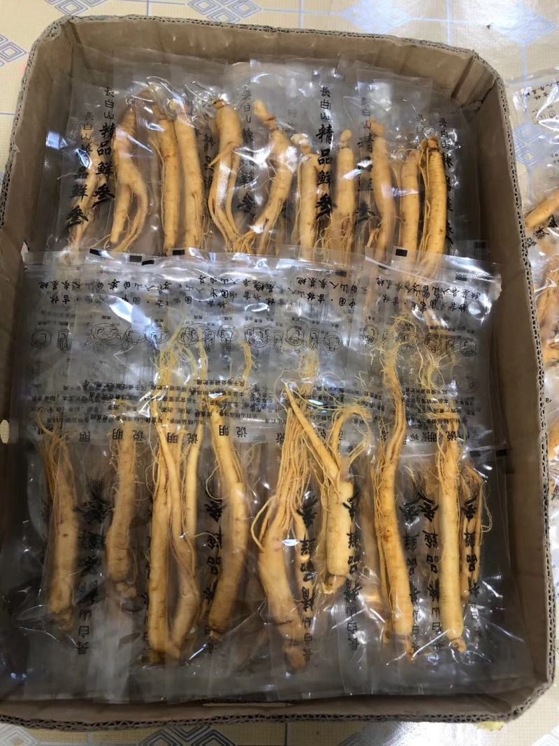 人参长白山保鲜参鲜参泡酒煲汤炖鸡专用一手货源参农直销