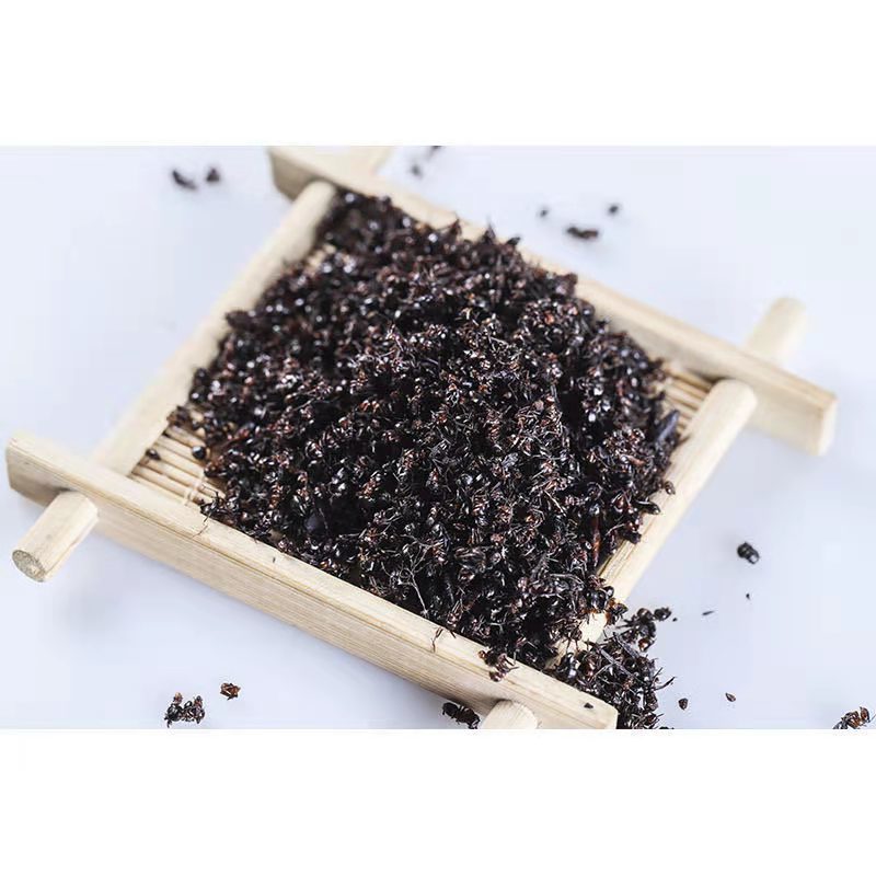 黑蚂蚁拟黑多刺蚁蚂蚁干泡酒广西广东产地散货批发