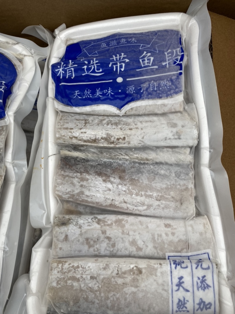 带鱼带鱼中段连云港本地小眼带鱼