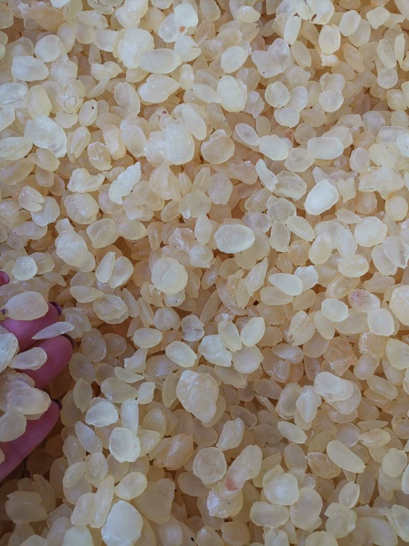 皂角米精选特级食用皂角米雪莲子美容养颜品质保证