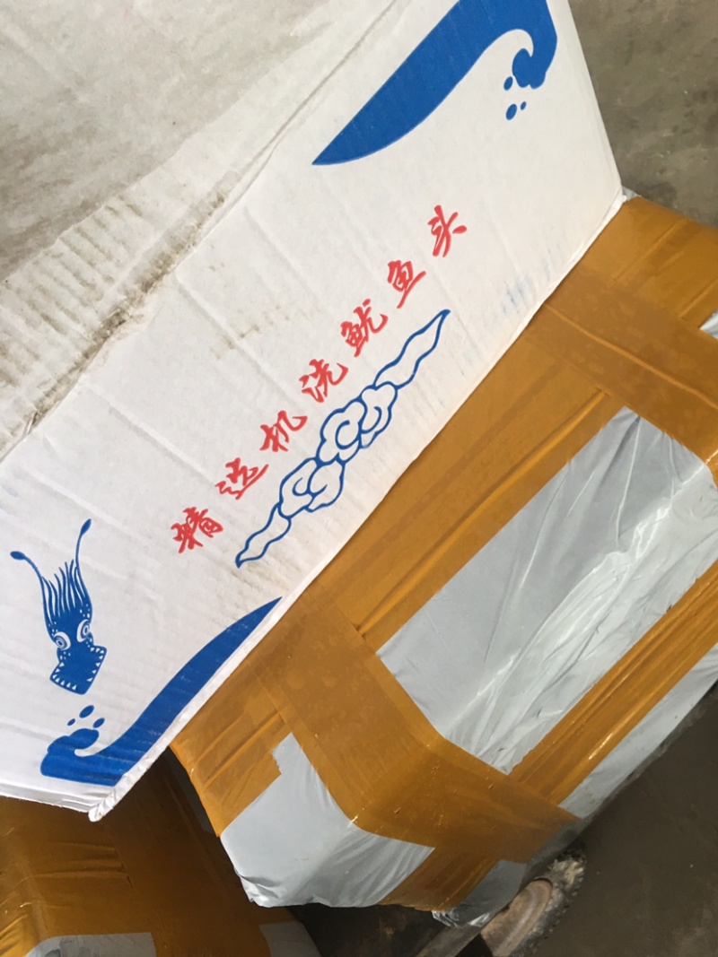【产地直供】鱿鱼头大鱿鱼头一件5版鱿鱼17斤