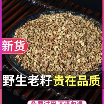 野生蛇床子500g正品中药材（包邮）