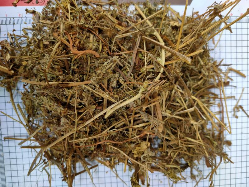 老鹳草野生中药材老鹳嘴贯筋老贯筋中草药