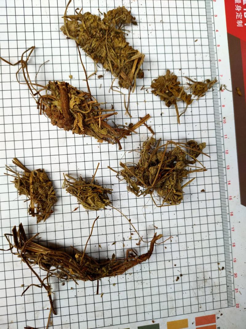 老鹳草野生中药材老鹳嘴贯筋老贯筋中草药
