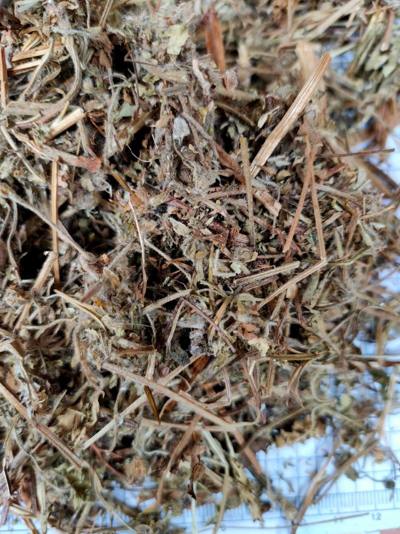 老鹳草野生中药材老鹳嘴贯筋老贯筋中草药