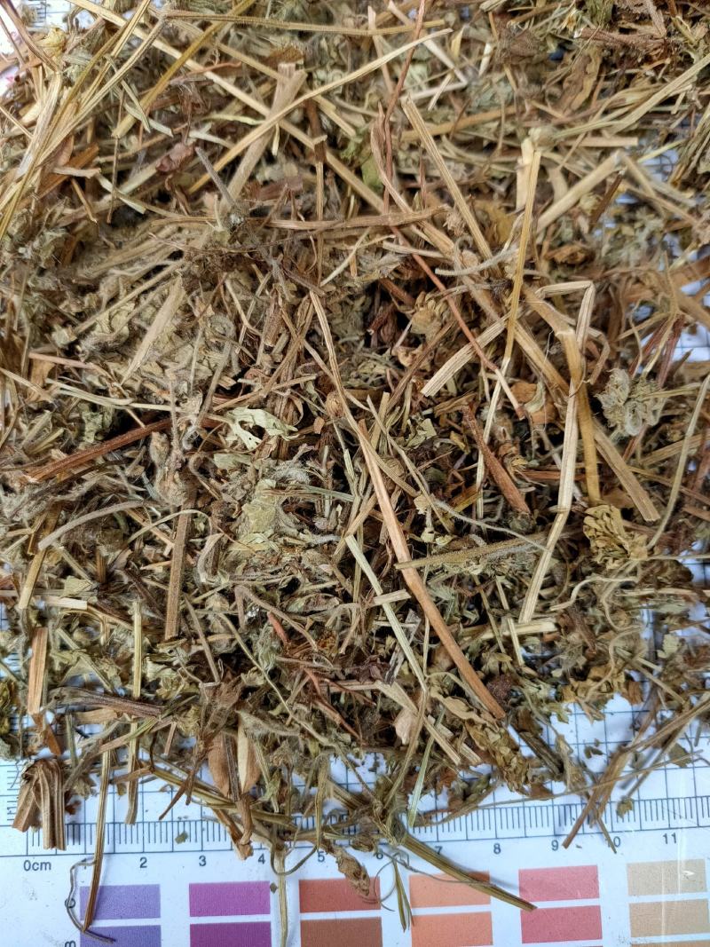 老鹳草野生中药材老鹳嘴贯筋老贯筋中草药
