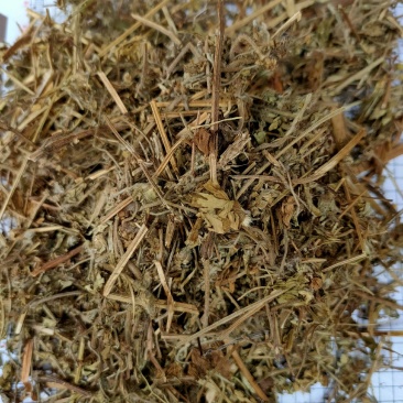 老鹳草野生中药材老鹳嘴贯筋老贯筋中草药