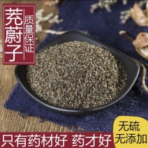 新货中药材茺蔚子500g（）干货