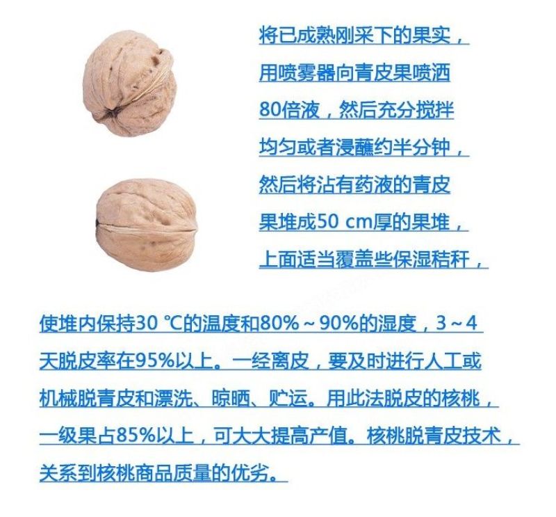 兰月乙烯利40%乙烯利调节生长催熟增产生长调节剂