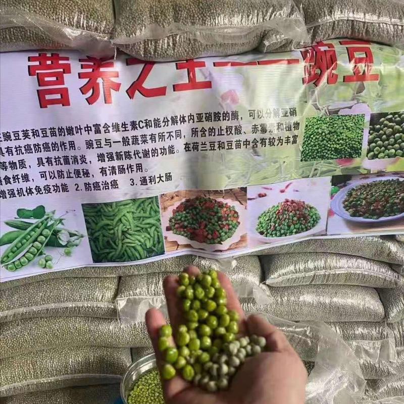 干豌豆泡的绿煮的烂不脱皮江湖地摊赶集展销会货源