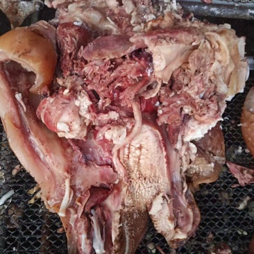 五香牛头肉，大公牛肉厚无水厂家直销